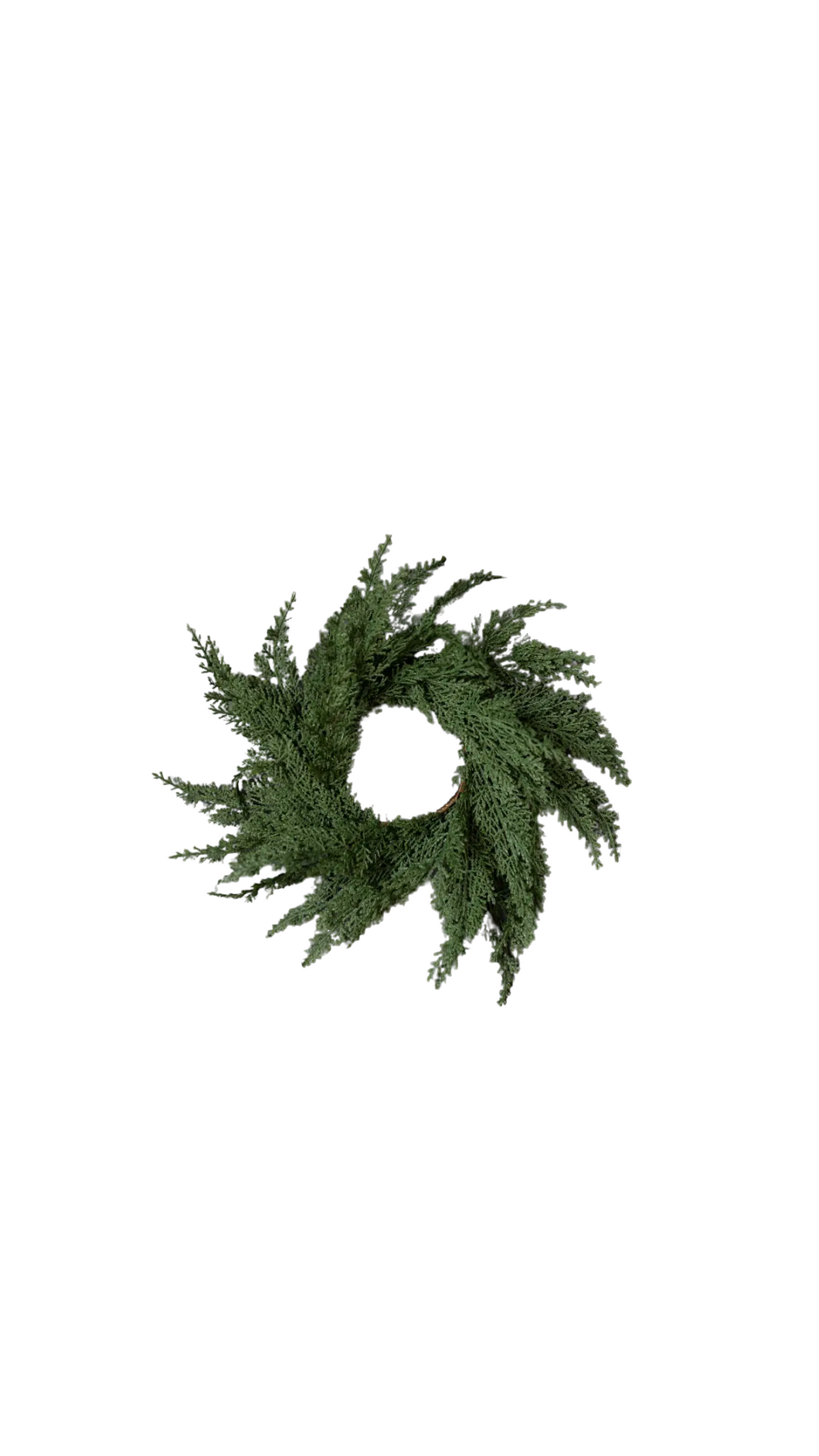 Salome Cypress Leaf Wreath