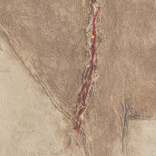 Load image into Gallery viewer, Burro Art
