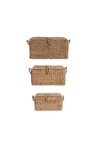 Stella Baskets