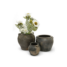 Load image into Gallery viewer, Posey Pottery Jar
