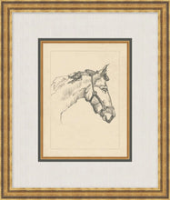 Load image into Gallery viewer, Sketched Horse Profile
